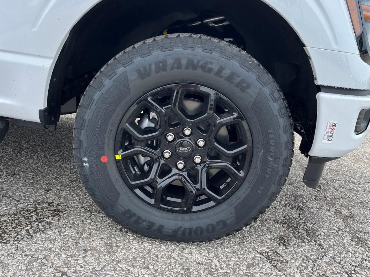 2026 Ford F-150 XLT Photo