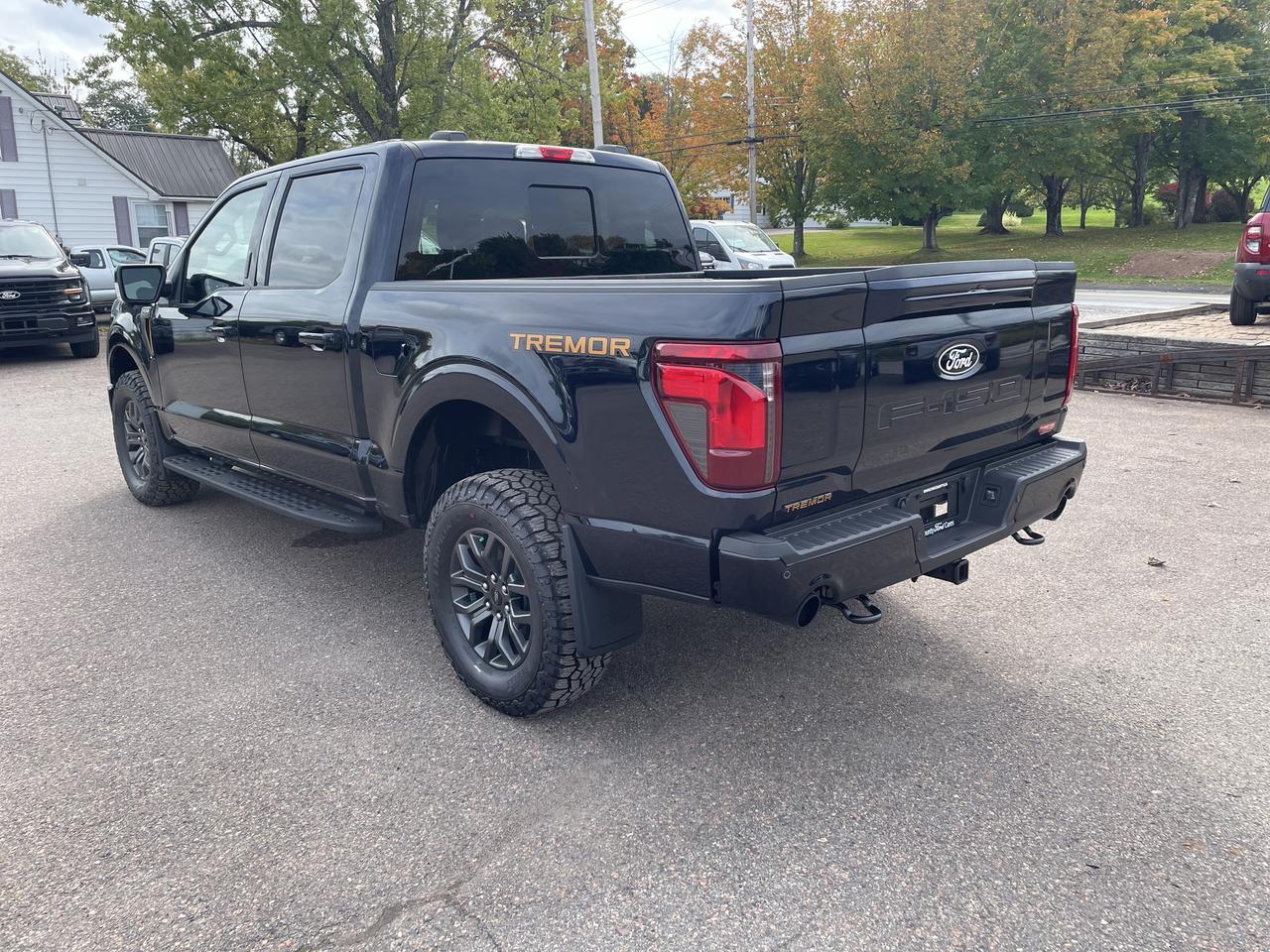 2026 Ford F-150 Tremor Photo4