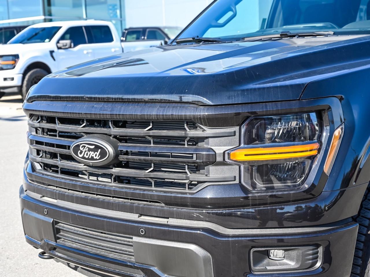 2026 Ford F-150 XLT Photo