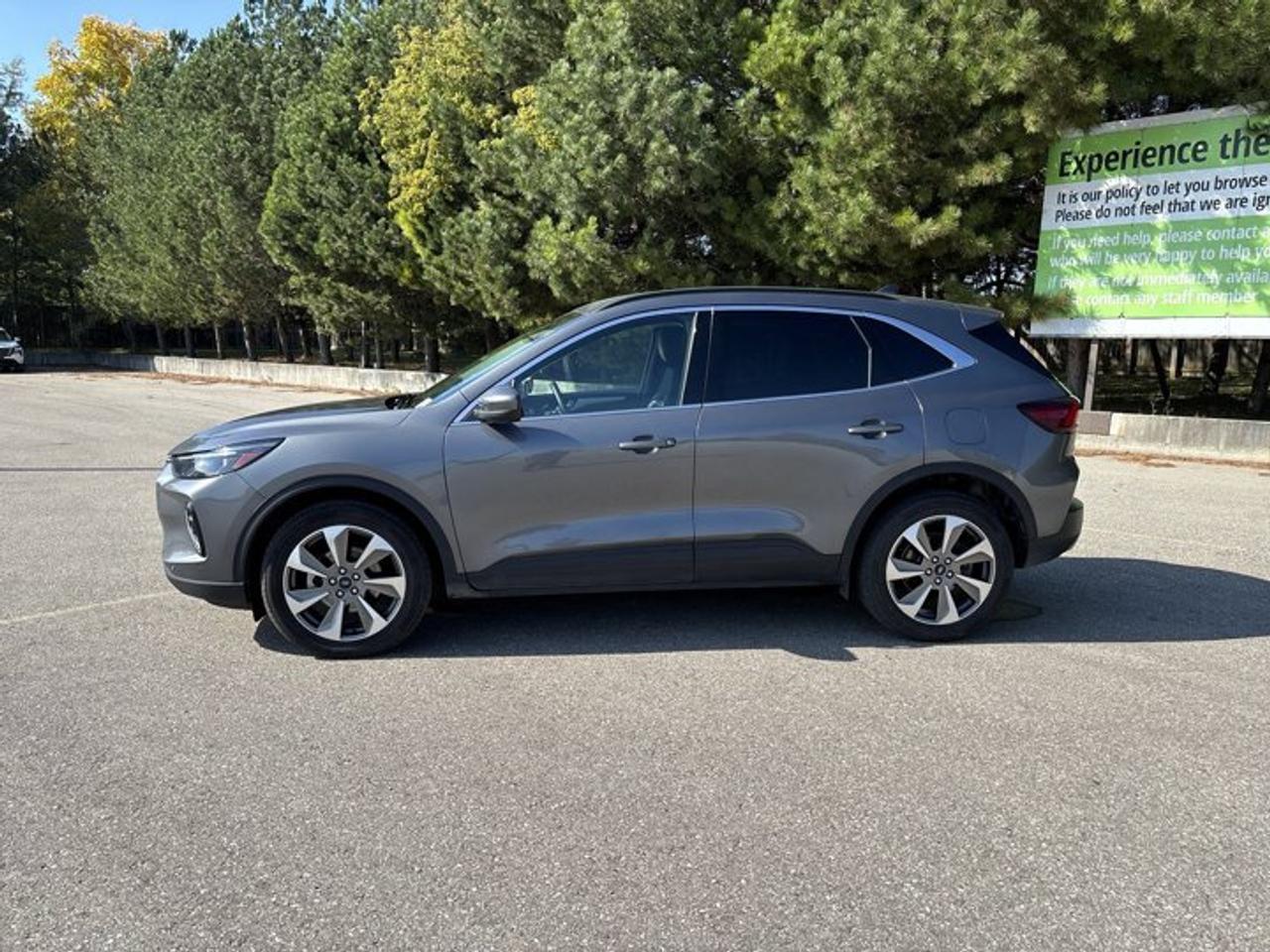 2023 Ford Escape Platinum AWD | No Accidents | Leather Seats Photo