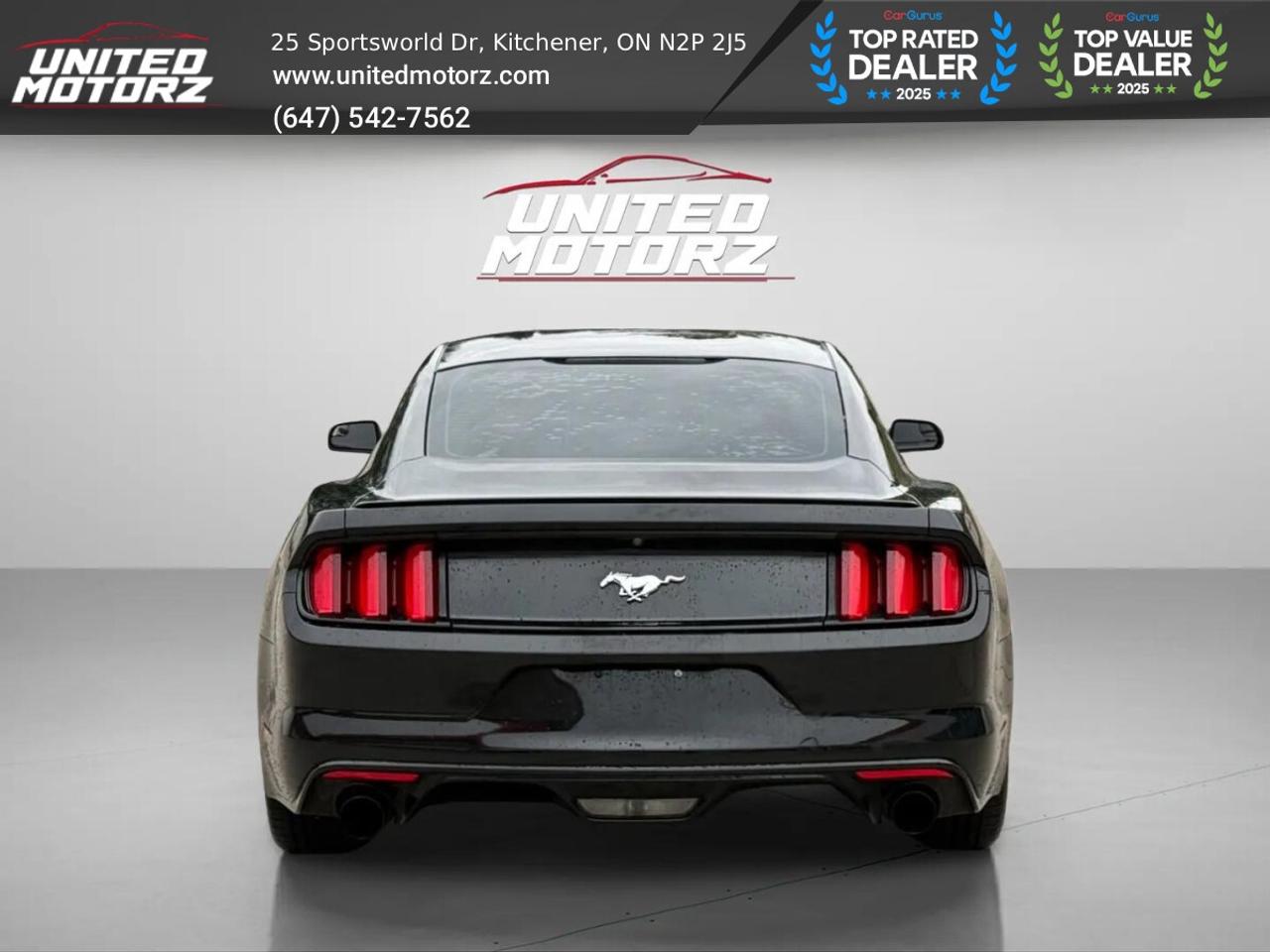 2017 Ford Mustang EcoBoost 2dr RWD 2.3L 4cyl~SAFETY CE Photo