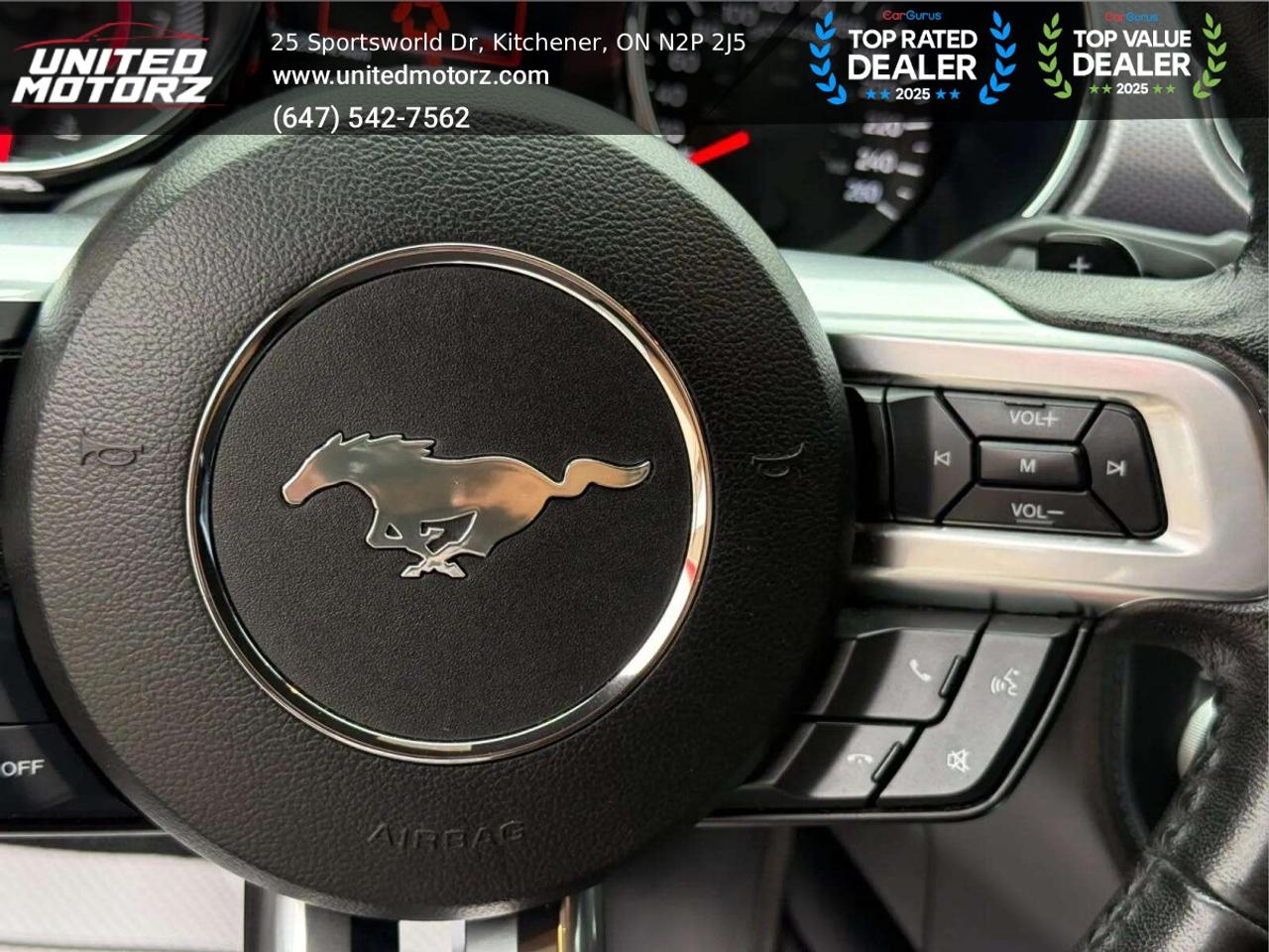 2017 Ford Mustang EcoBoost 2dr RWD 2.3L 4cyl~SAFETY CE Photo