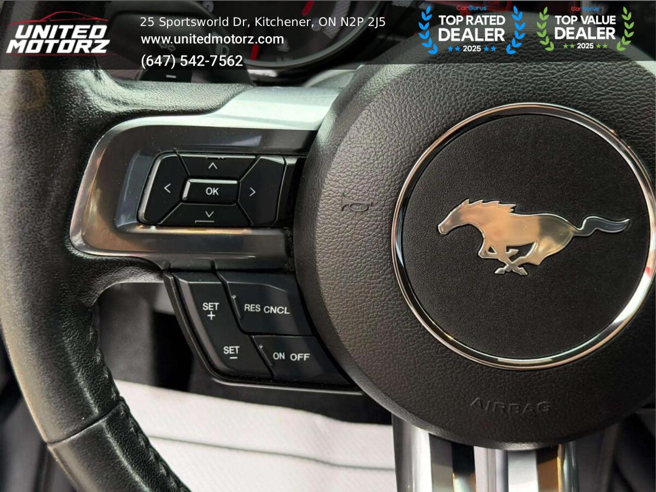 2017 Ford Mustang EcoBoost 2dr RWD 2.3L 4cyl~SAFETY CE Photo