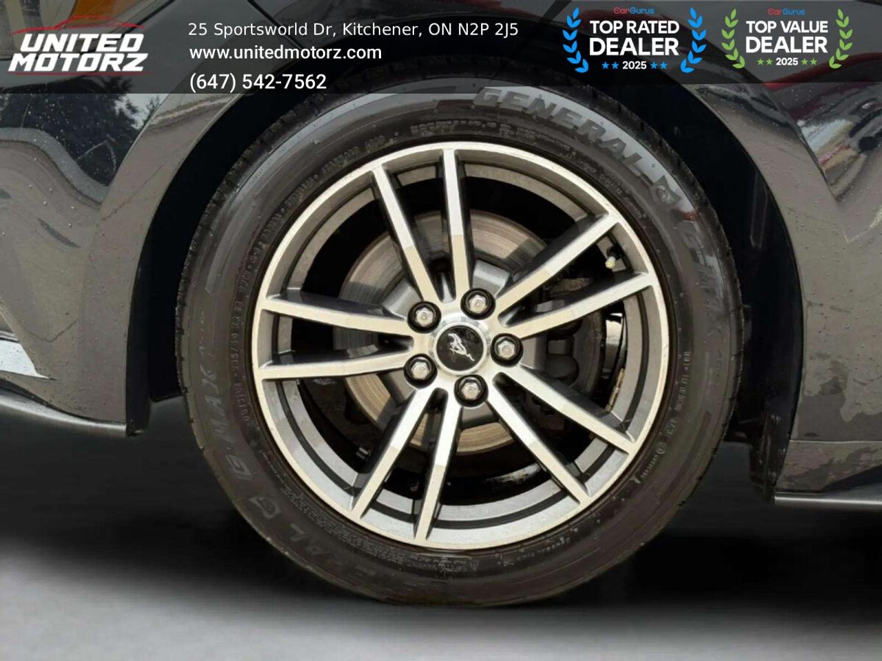 2017 Ford Mustang EcoBoost 2dr RWD 2.3L 4cyl~SAFETY CE Photo