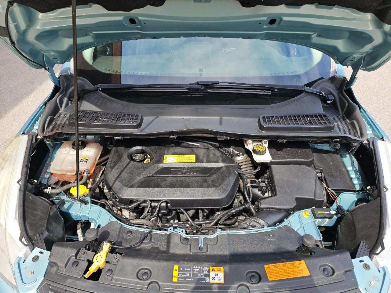 2013 Ford Escape FWD 4dr SE Photo