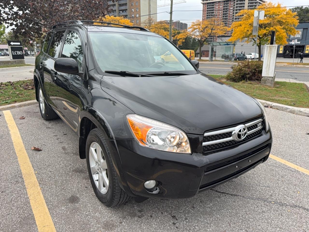 2008 Toyota RAV4 LIMITED  Photo