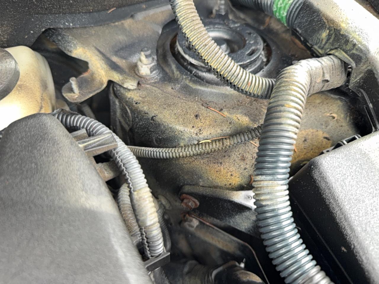 2008 Toyota RAV4 LIMITED  Photo