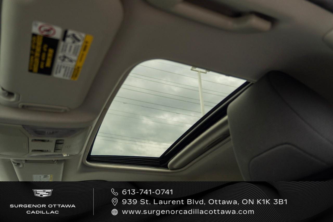 2021 Toyota RAV4 XLE AWD Photo