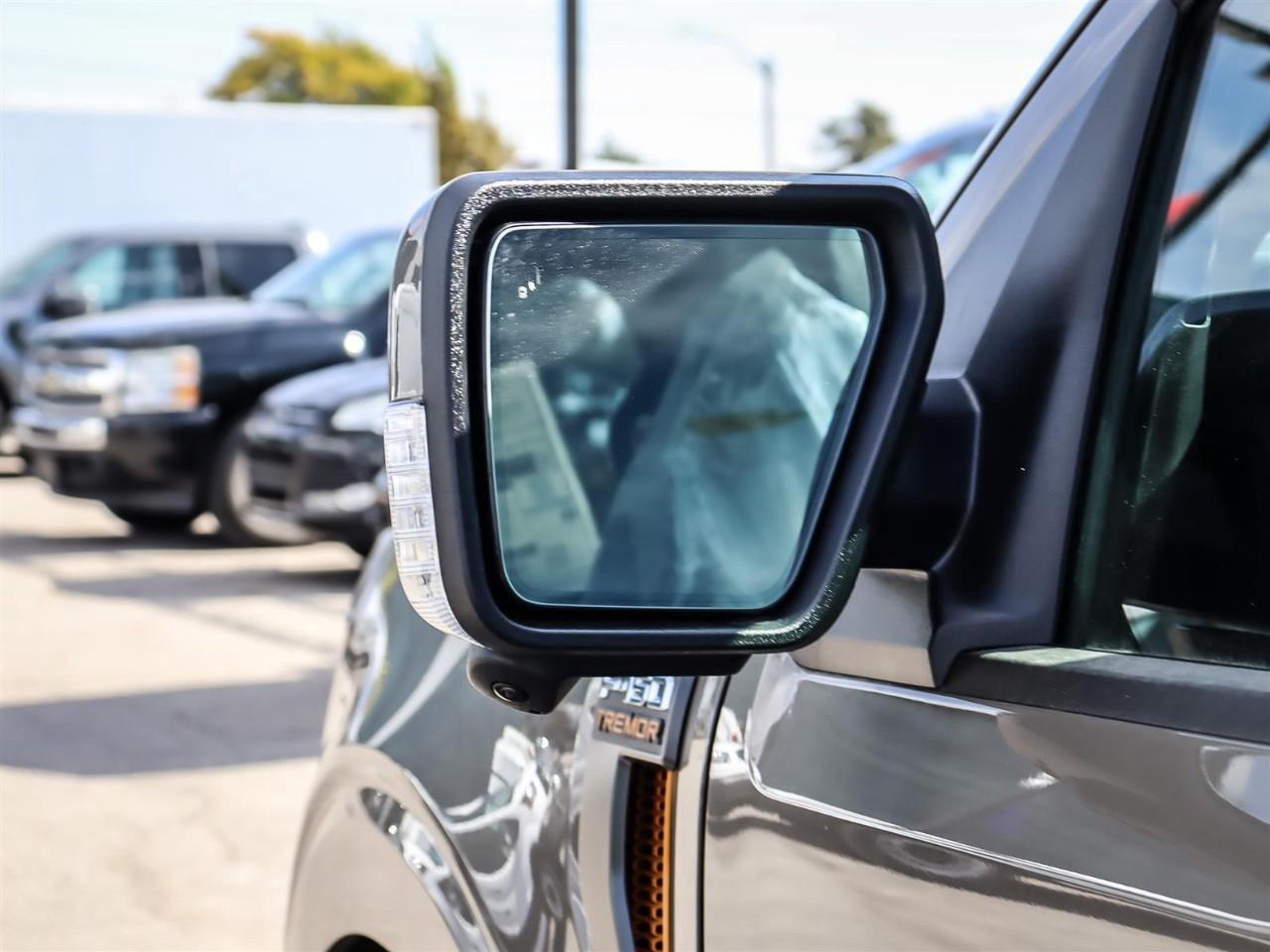 2026 Ford F-150 Tremor Photo
