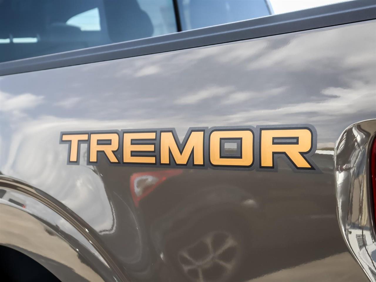 2026 Ford F-150 Tremor Photo
