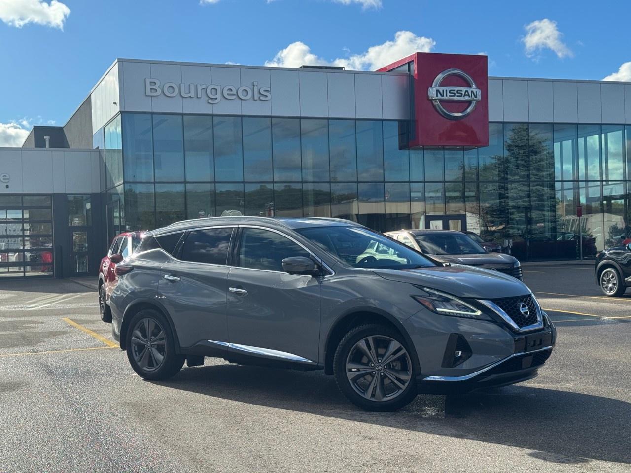 2022 Nissan Murano AWD PLATINUM Photo0