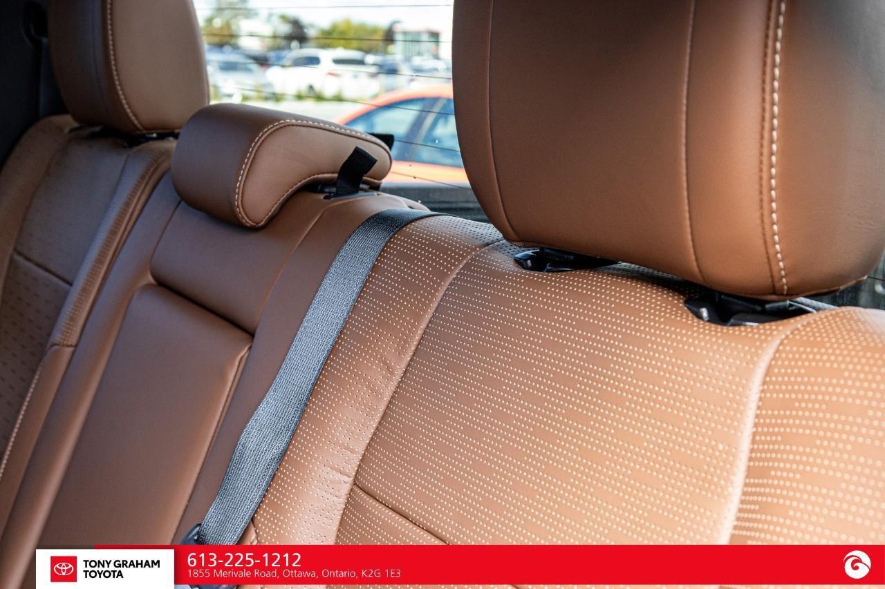 2026 Toyota Tundra  Photo