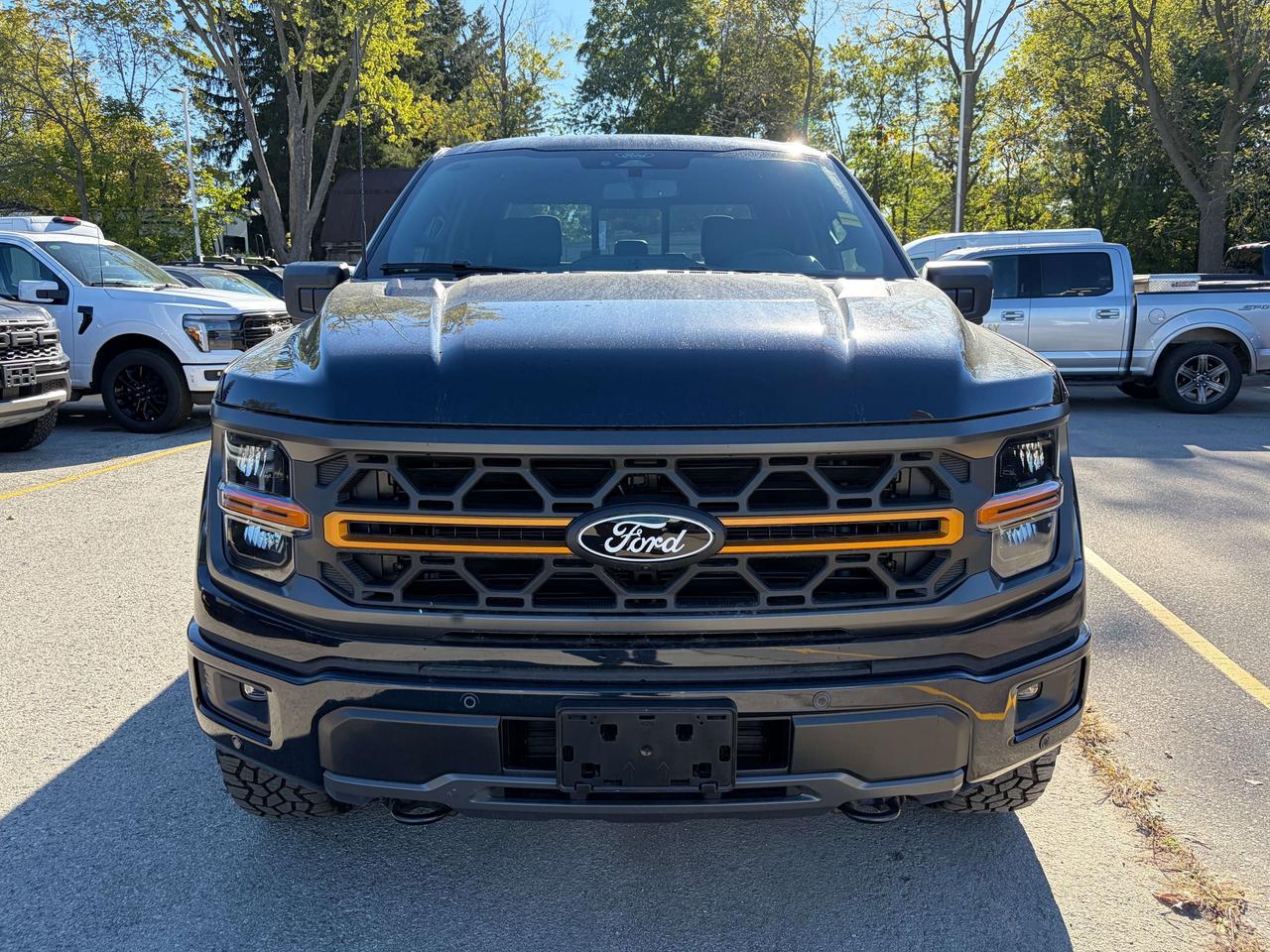 2026 Ford F-150 Tremor 4WD SuperCrew 5.5' Box Photo