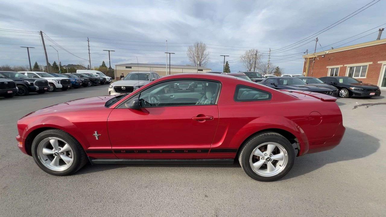 2008 Ford Mustang AUTOMATIC | LOW KMS! | SHAKER | ALLOYS | CRUISE Photo