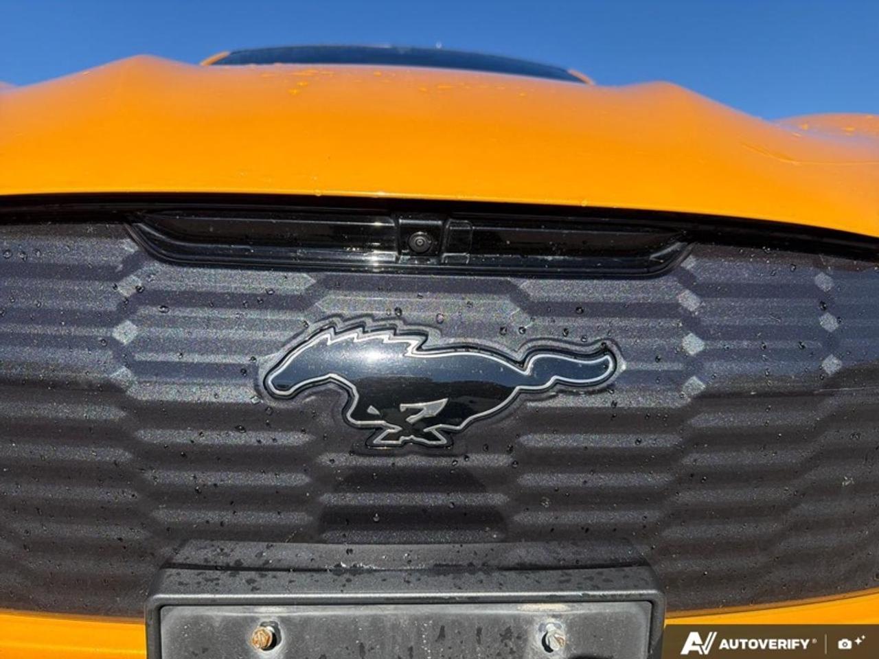 2022 Ford Mustang Mach-E GT Performance Edition Photo