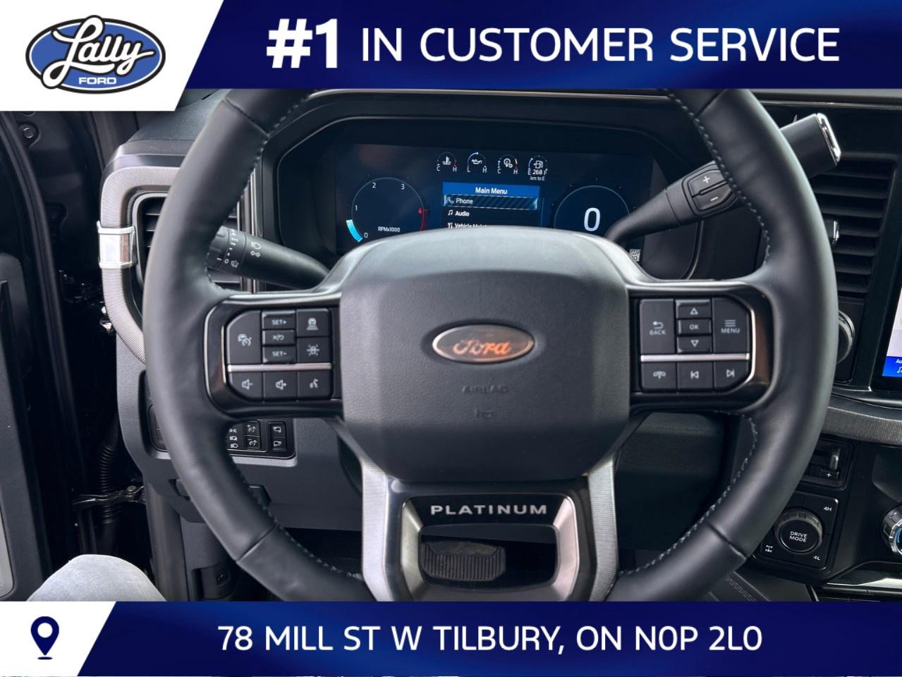 2027 Ford F-250 Super Duty SRW PLATINUM 4WD CREW CAB 6.75' BOX Photo