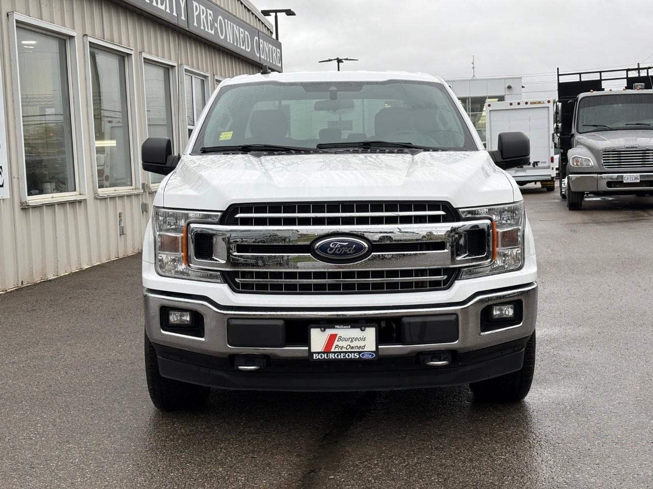 2020 Ford F-150 XLT 4WD SuperCrew 5.5' Box Photo2