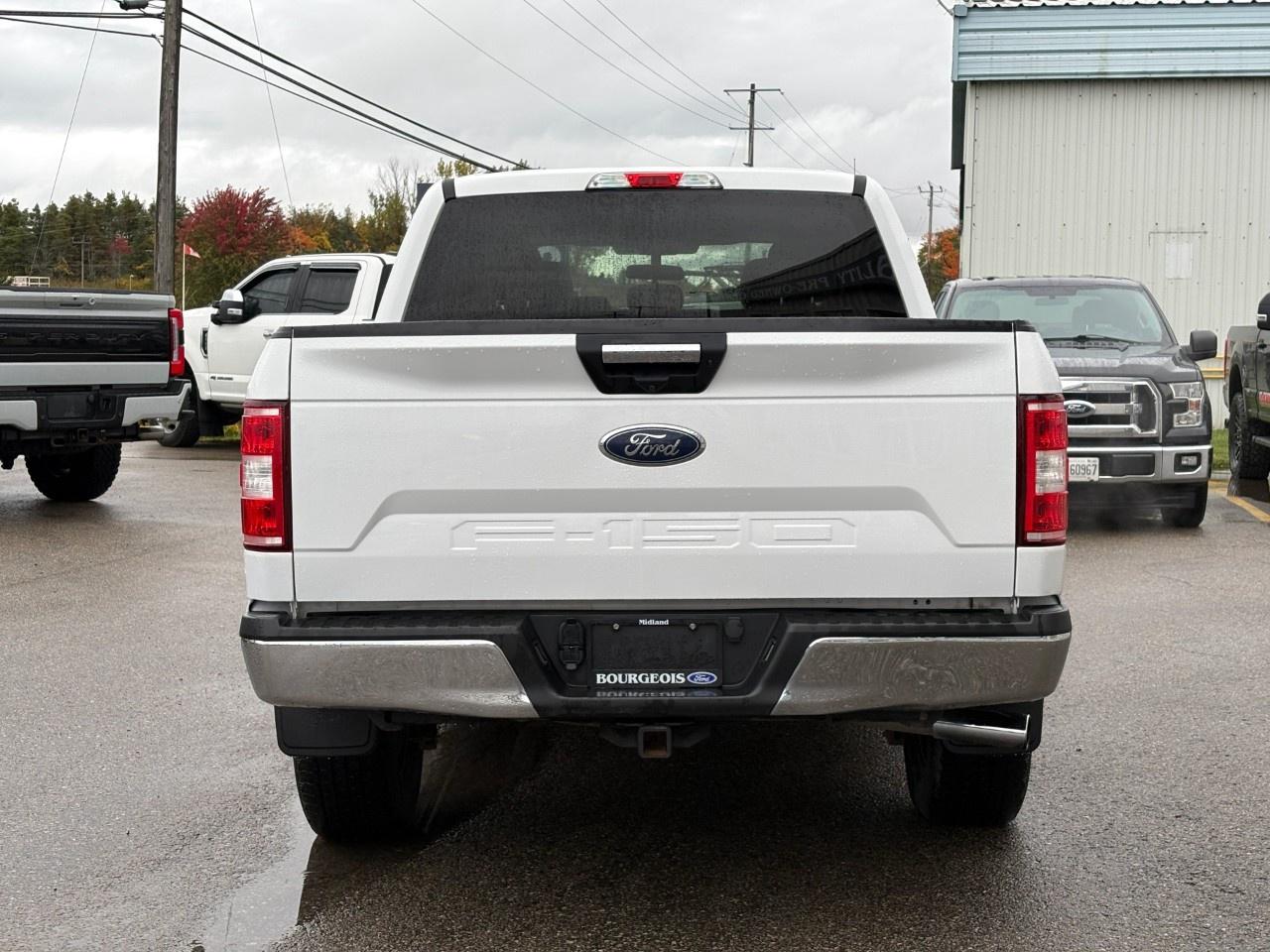 2020 Ford F-150 XLT 4WD SuperCrew 5.5' Box Photo