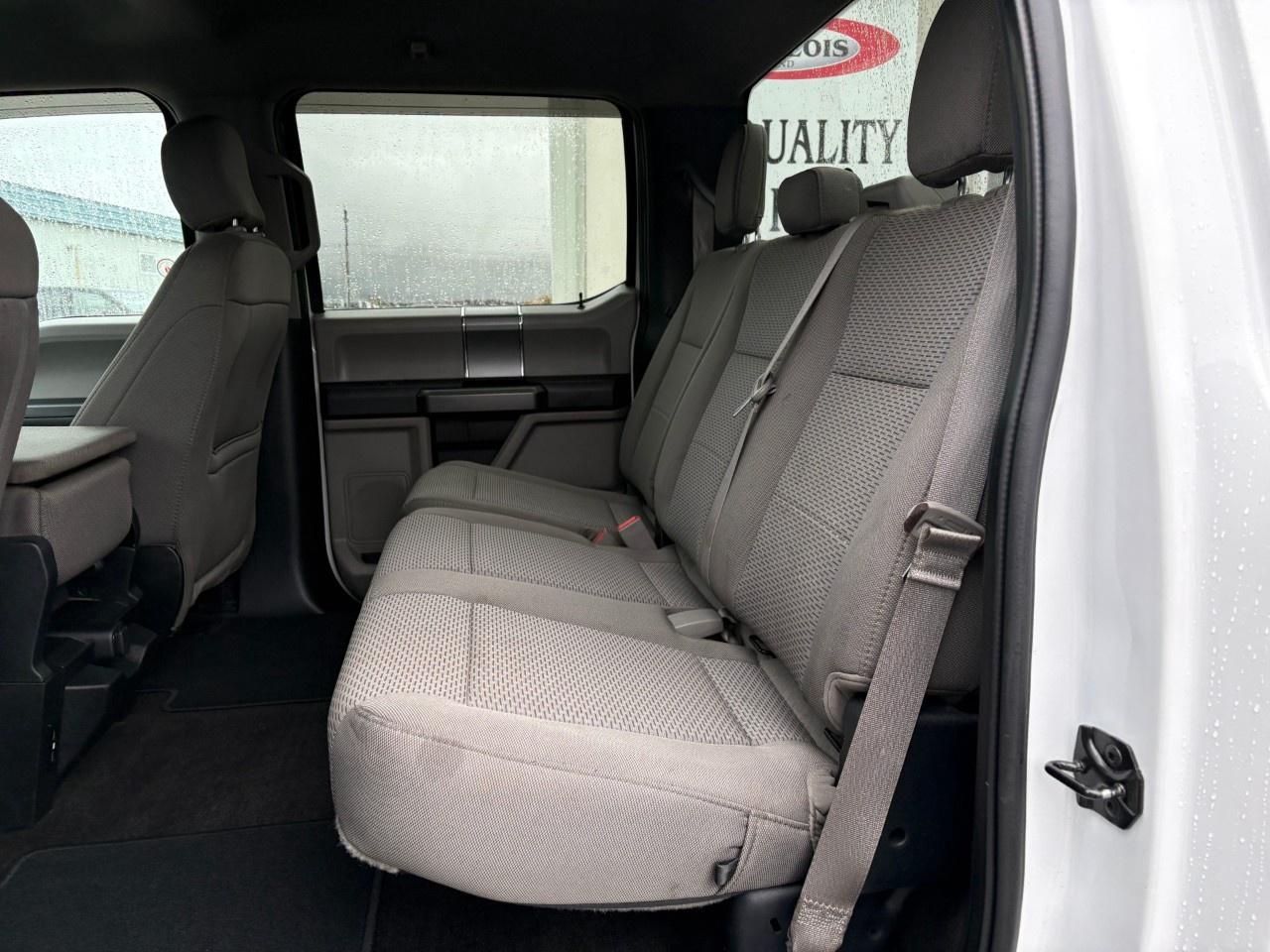 2020 Ford F-150 XLT 4WD SuperCrew 5.5' Box Photo
