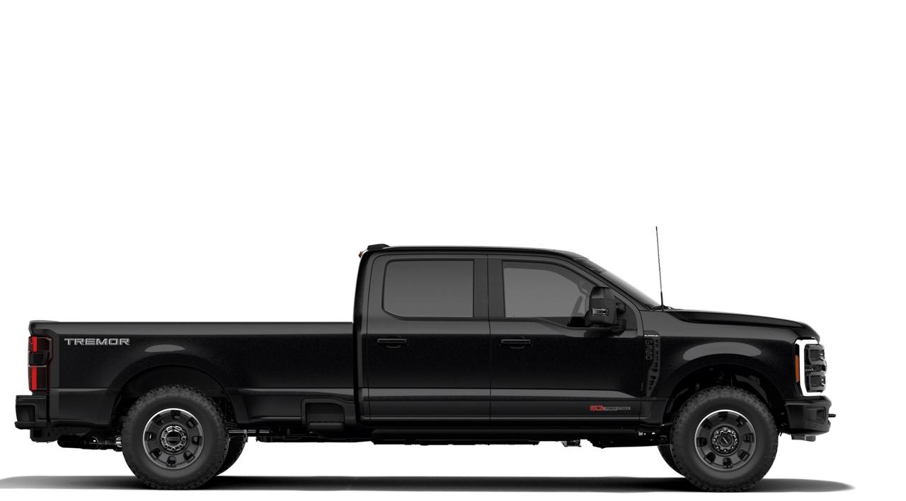 2027 Ford SUPER DUTY F-350 SRW Platinum Photo4