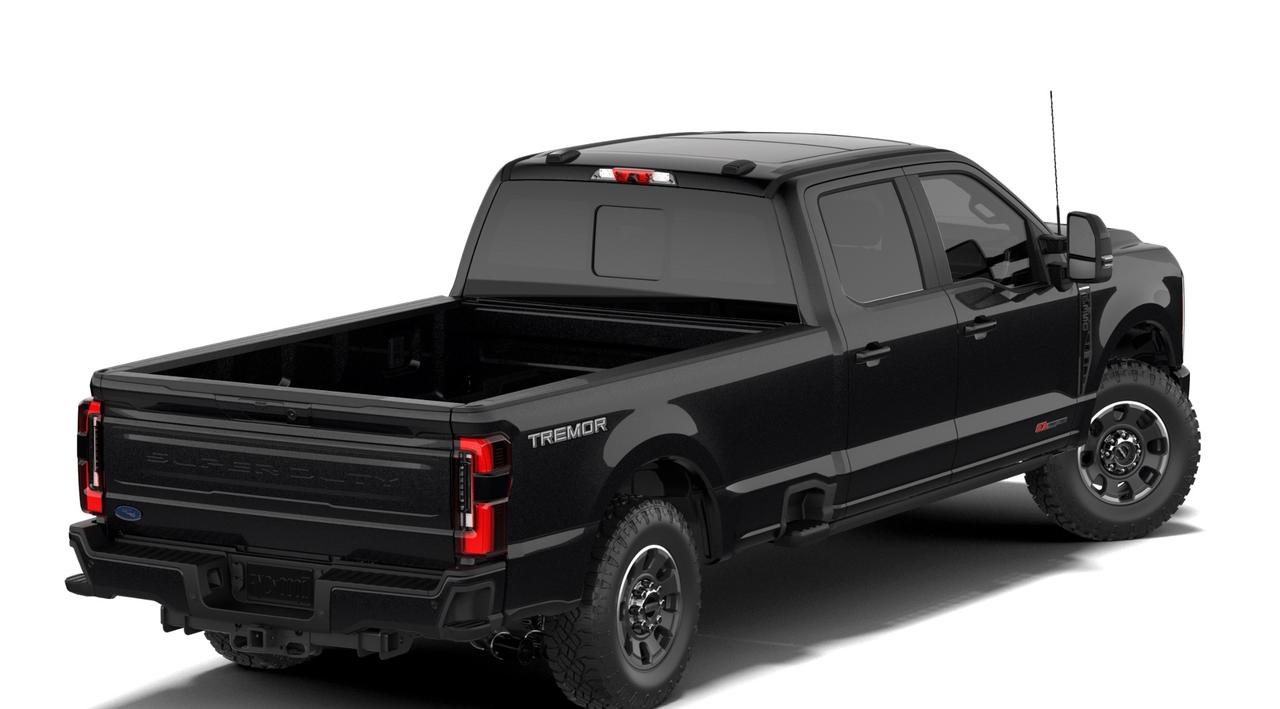 2027 Ford SUPER DUTY F-350 SRW Platinum Photo2