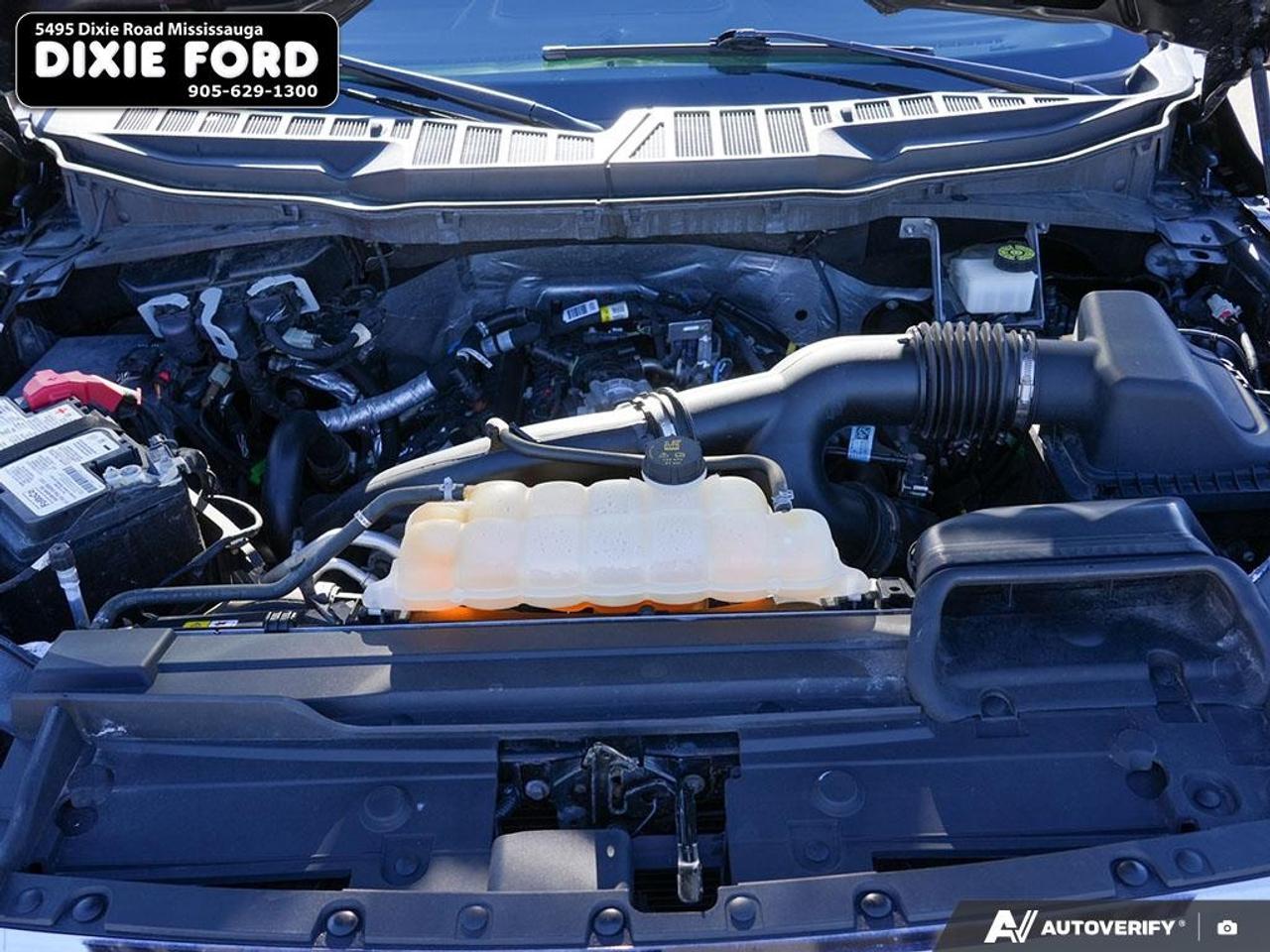 2023 Ford F-150 XLT Photo
