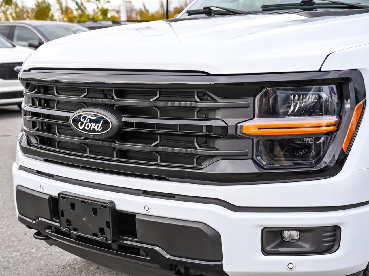 2024 Ford F-150 XLT Photo