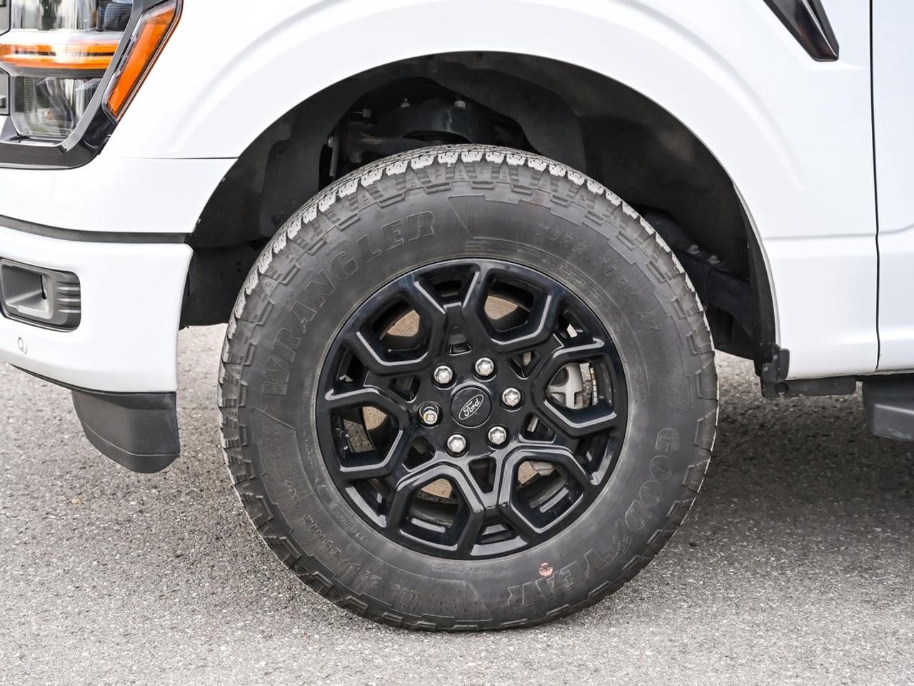 2024 Ford F-150 XLT Photo