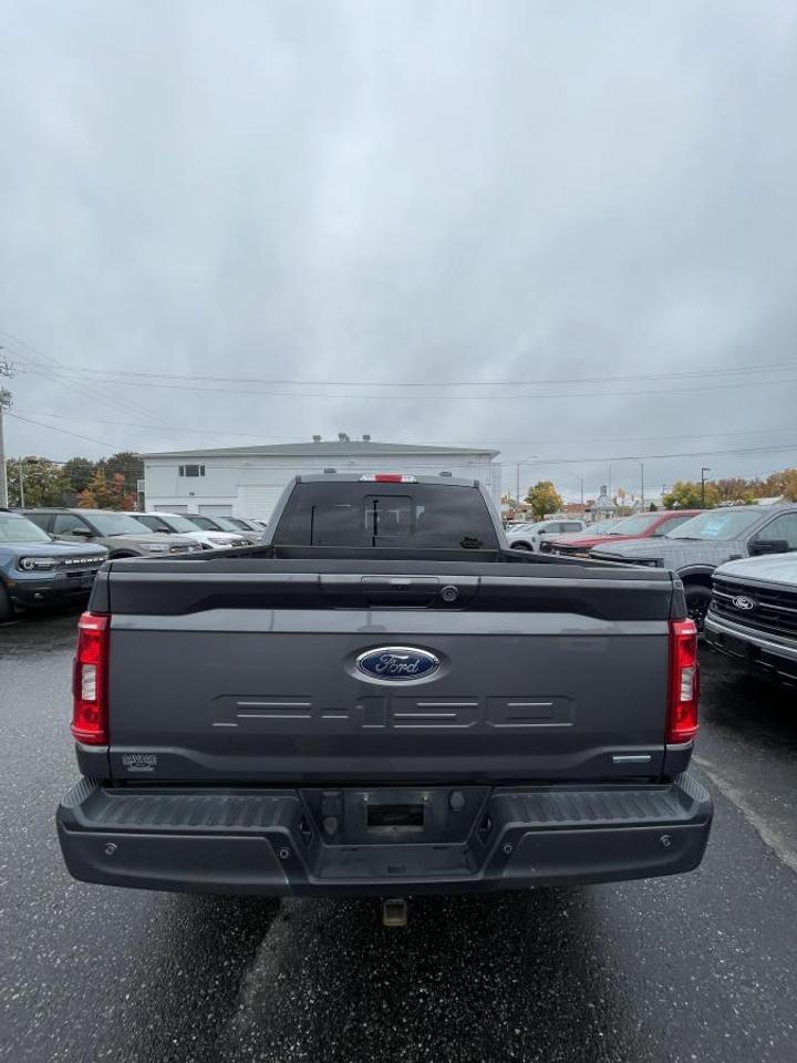2021 Ford F-150 XLT Photo3