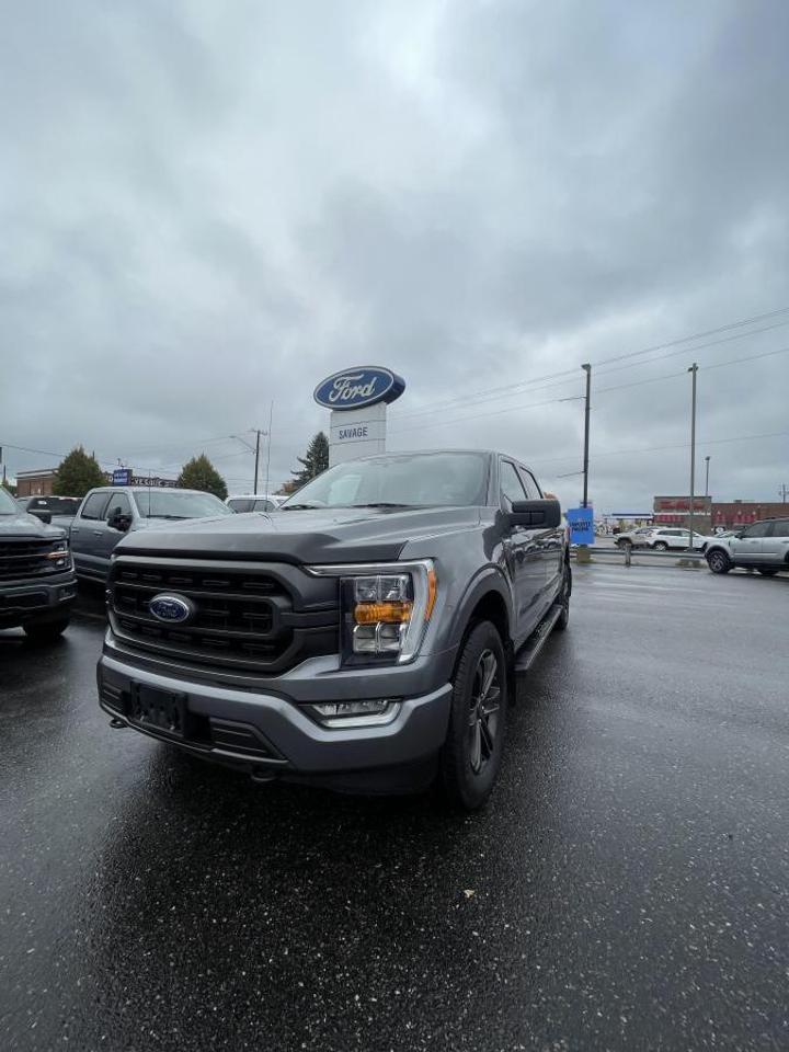 2021 Ford F-150 XLT Photo