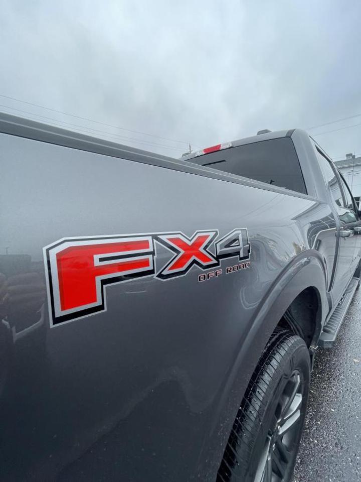 2021 Ford F-150 XLT Photo