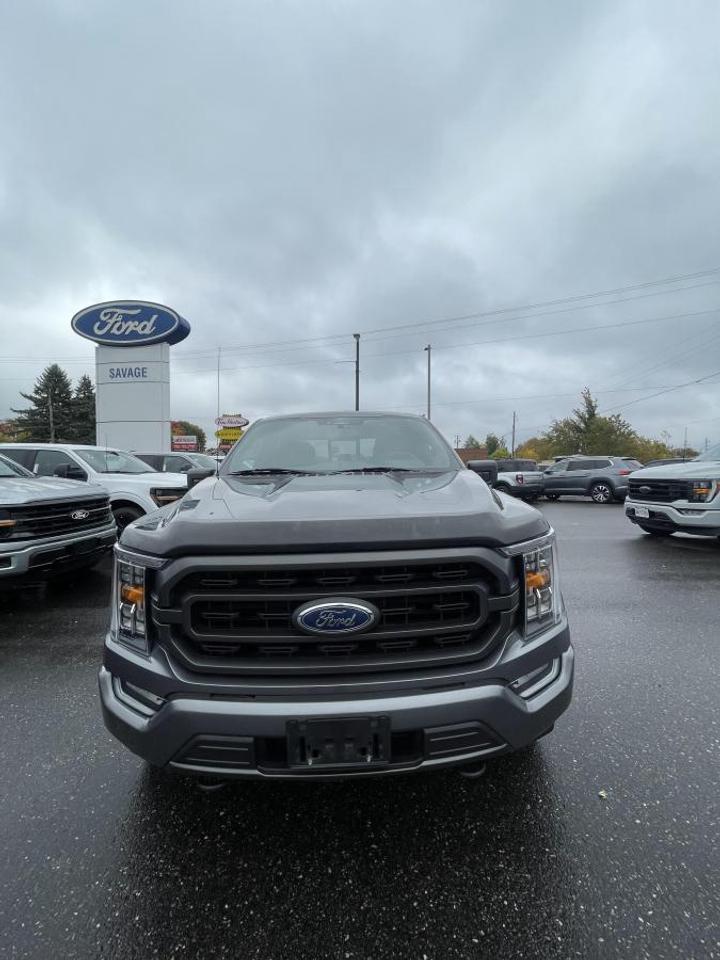 2021 Ford F-150 XLT Photo
