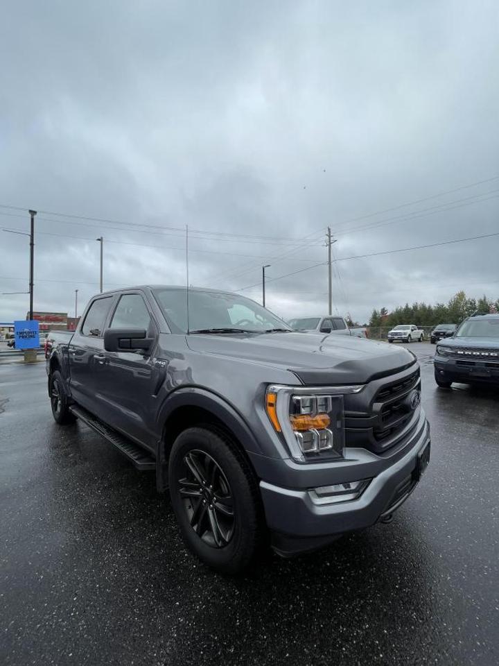 2021 Ford F-150 XLT Photo