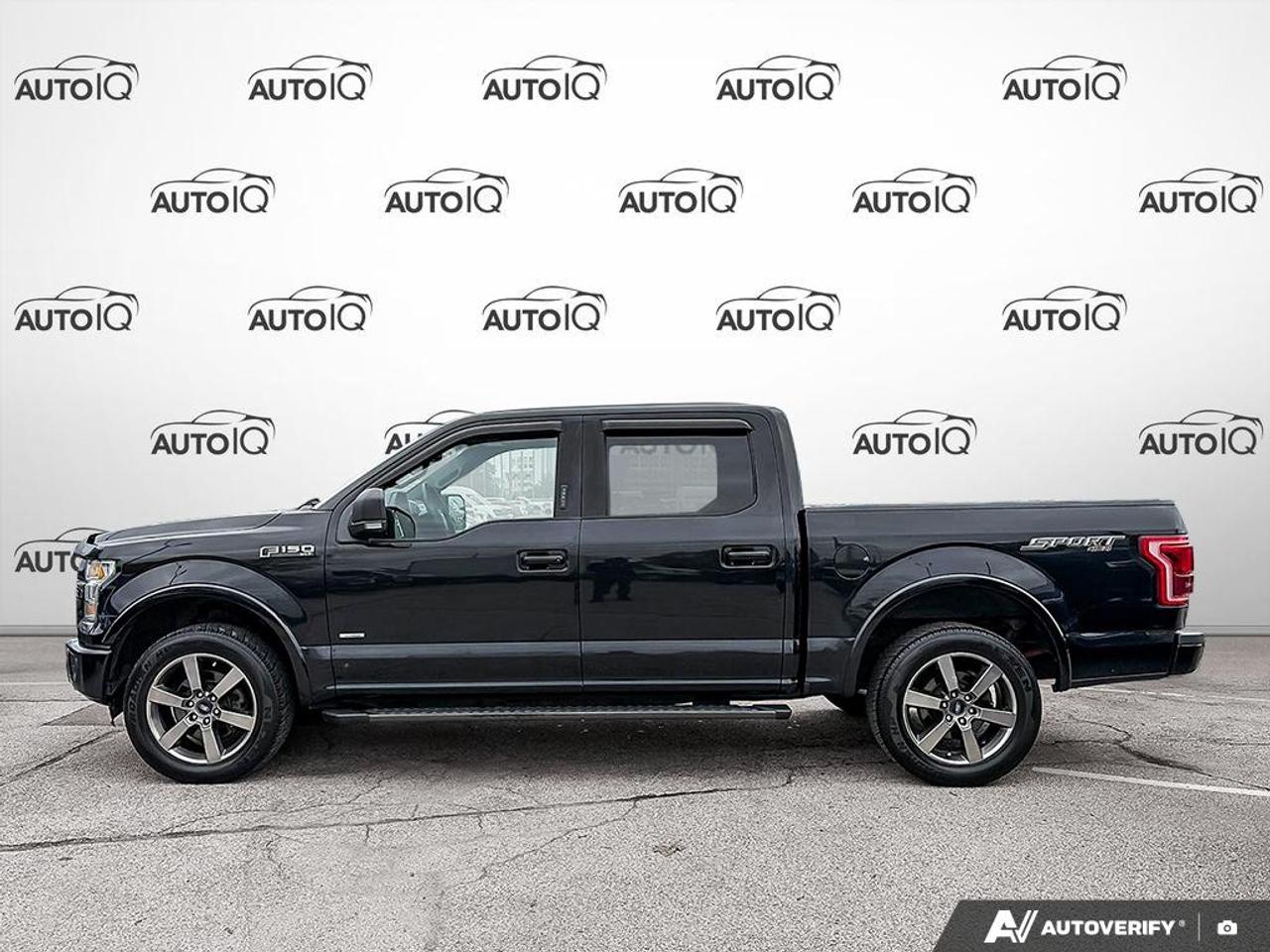 2016 Ford F-150 XLT 302A|SPORT|PANO|62 SVC RECORDS|1 OWNER|NO ACCIDENT Photo