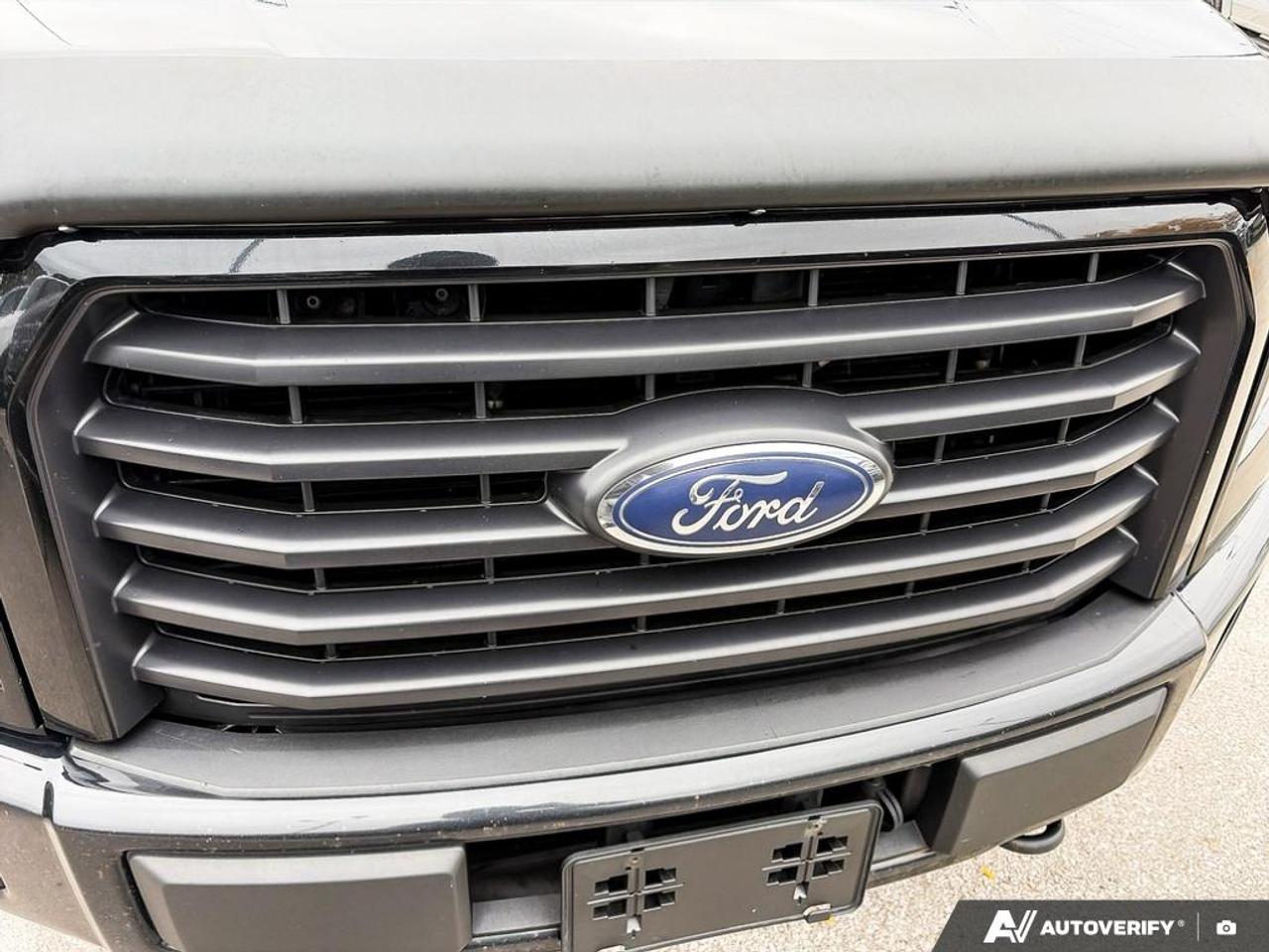 2016 Ford F-150 XLT 302A|SPORT|PANO|62 SVC RECORDS|1 OWNER|NO ACCIDENT Photo