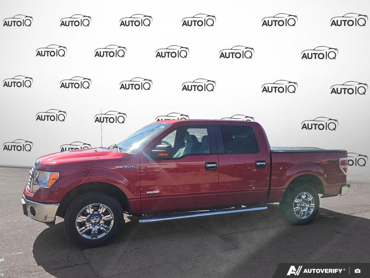 2011 Ford F-150 XLT ONE OWNER | LOW KM'S! | 6 SEATS Photo3
