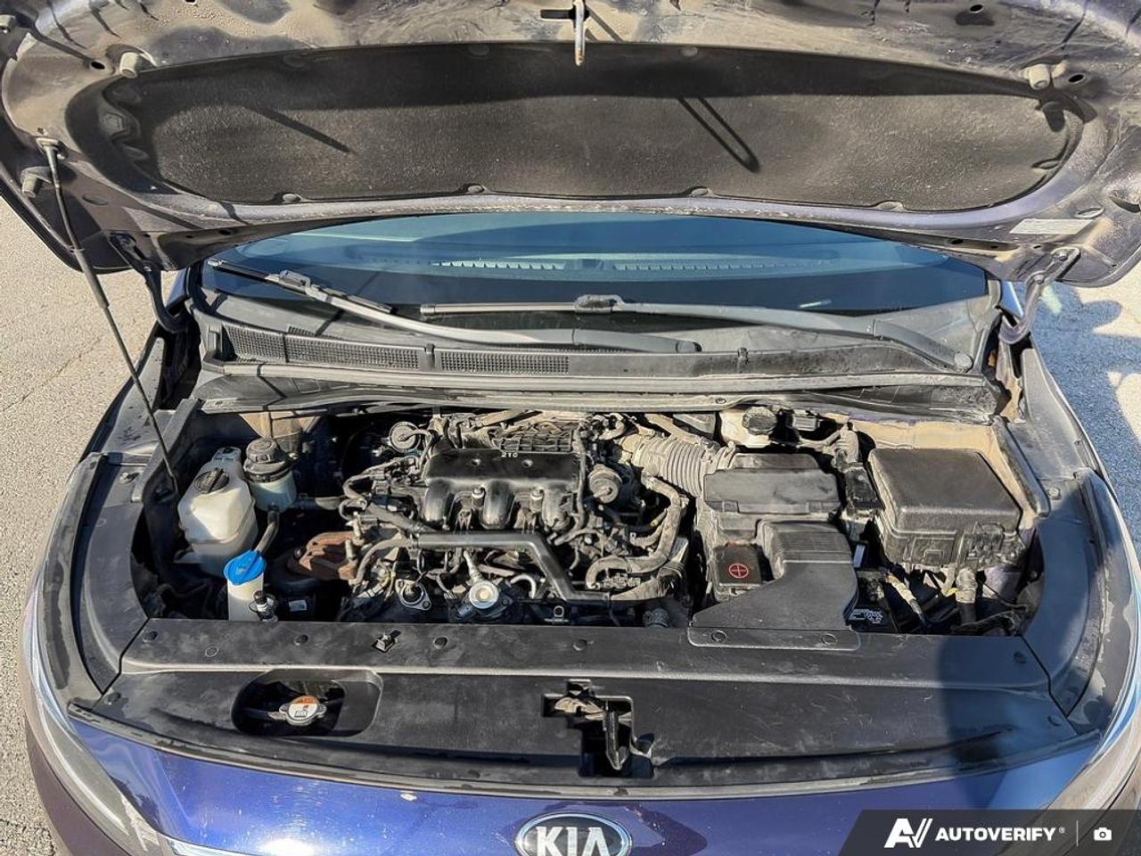2019 Kia Sedona LX+ AS-TRADED 'YOU SAFETY - YOU SAVE' Photo