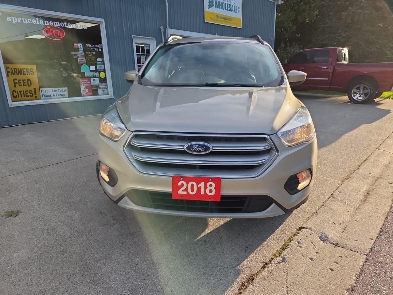2018 Ford Escape SE Photo