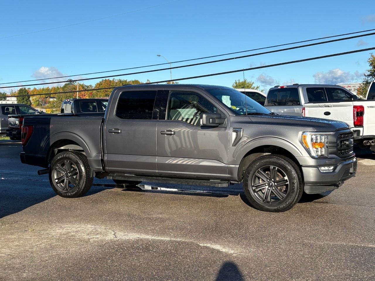 2022 Ford F-150 XLT 4WD SuperCrew 5.5' Box Photo4