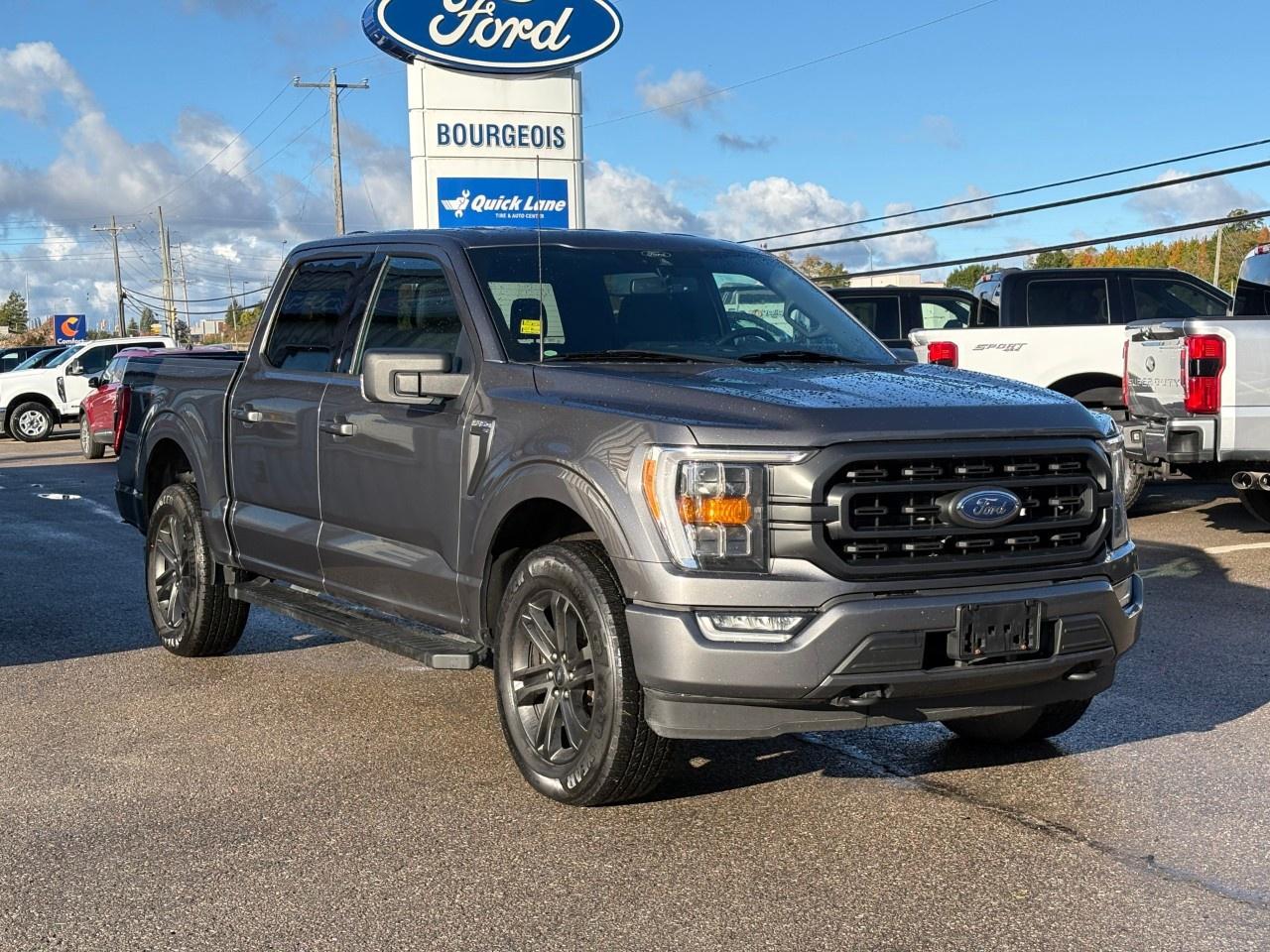 2022 Ford F-150 XLT 4WD SuperCrew 5.5' Box Photo