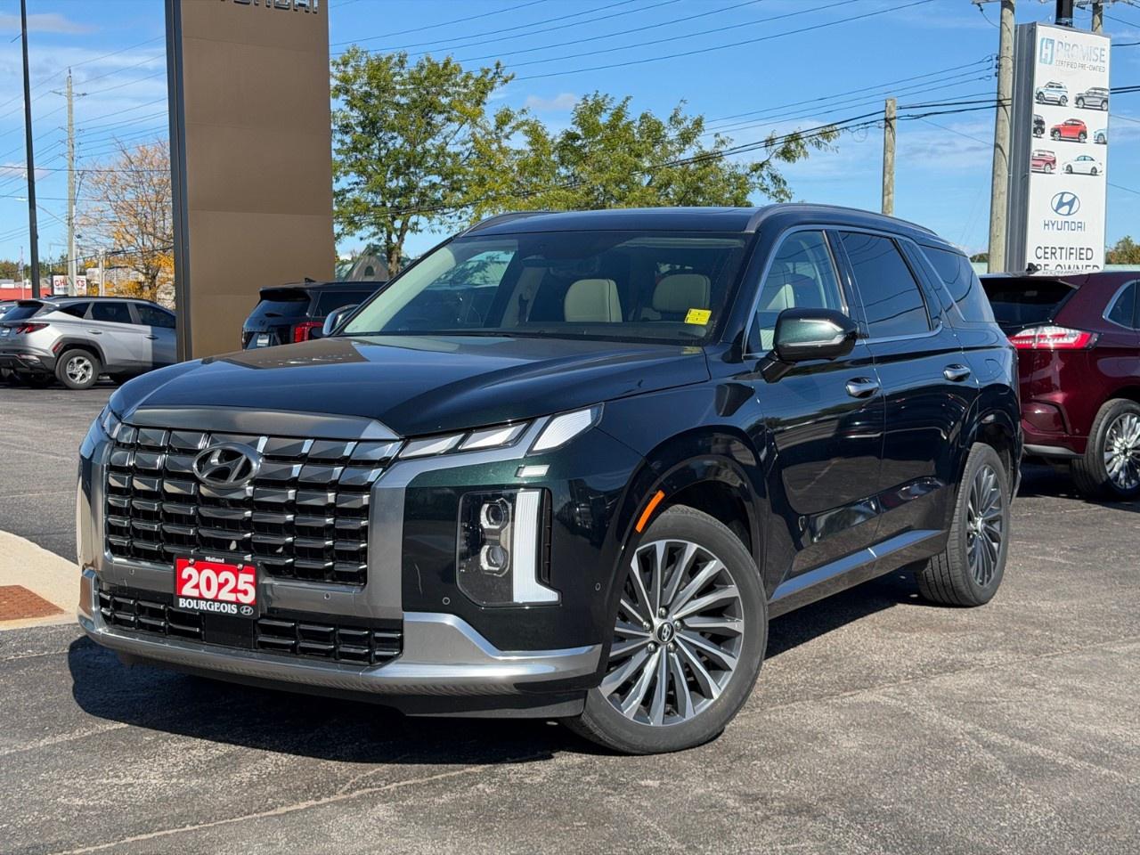 2025 Hyundai PALISADE Ultimate Calligraphy w/Beige 7-Passenger AWD Photo0