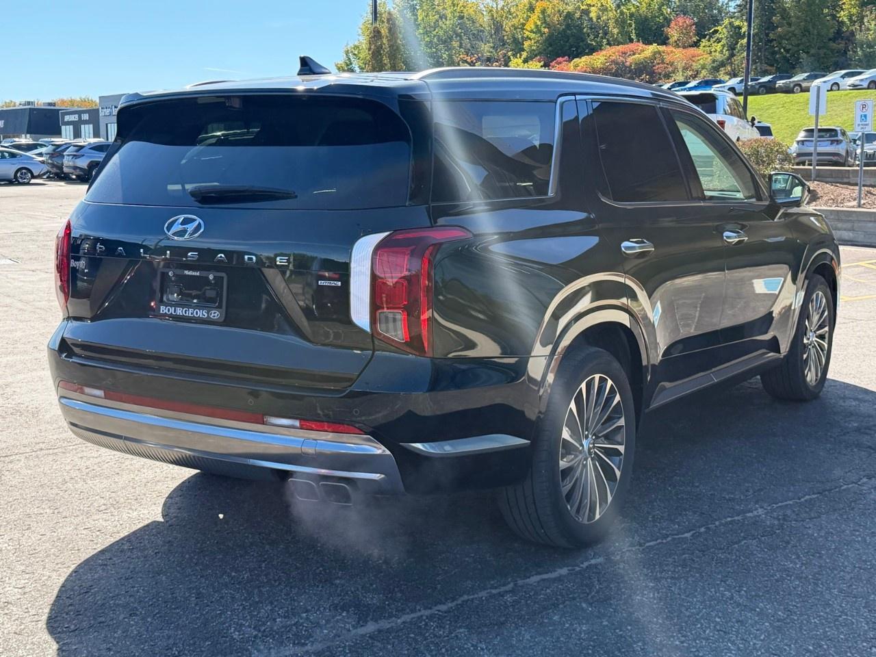 2025 Hyundai PALISADE Ultimate Calligraphy w/Beige 7-Passenger AWD Photo