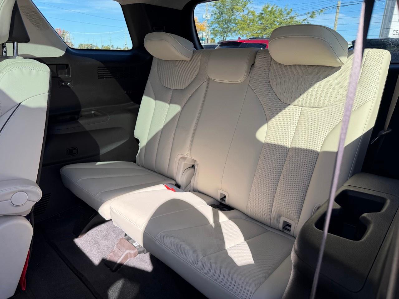2025 Hyundai PALISADE Ultimate Calligraphy w/Beige 7-Passenger AWD Photo