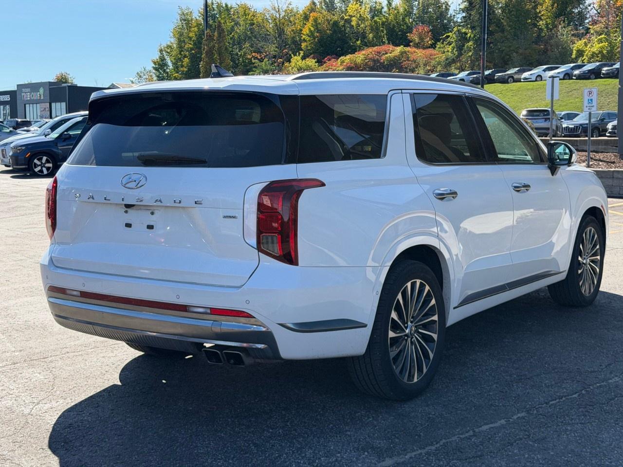 2025 Hyundai PALISADE Ultimate Calligraphy w/Beige 7-Passenger AWD Photo