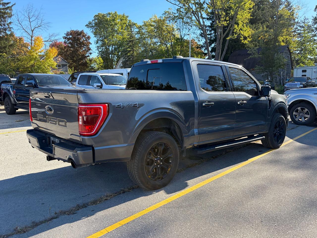 2023 Ford F-150 XLT 4WD SuperCrew 5.5' Box Photo