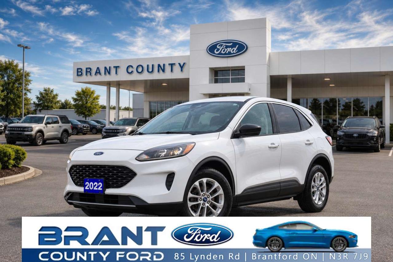 2022 Ford Escape SE AWD Photo0