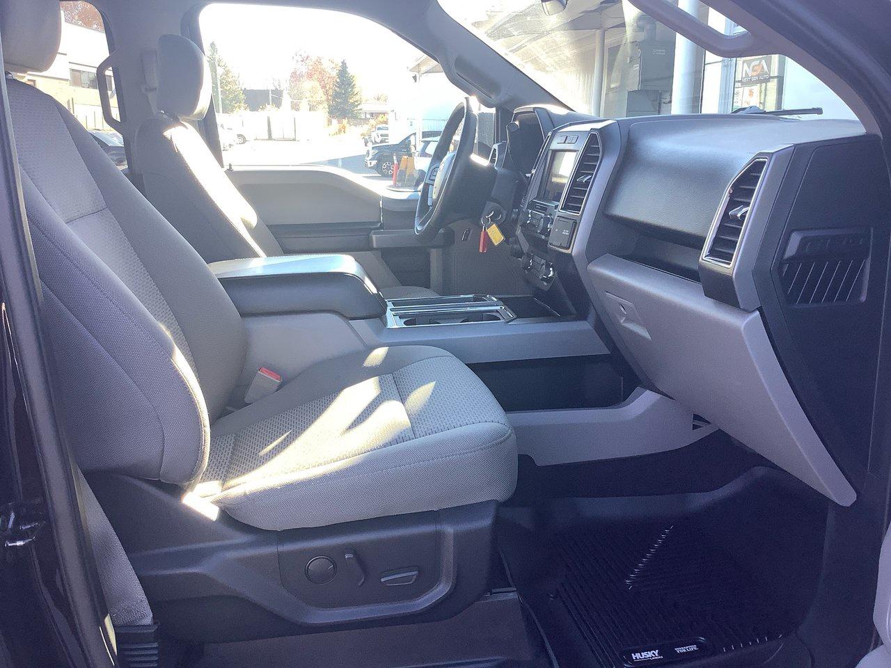 2020 Ford F-150 F-150 Photo