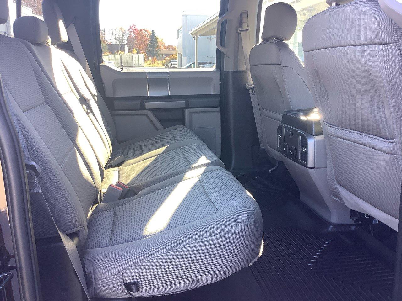 2020 Ford F-150 F-150 Photo