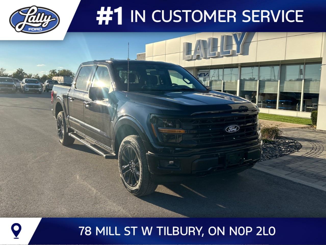 2026 Ford F-150 XLT 4WD SuperCrew 5.5' Box Photo0