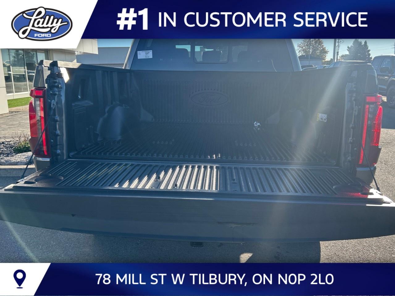 2026 Ford F-150 XLT 4WD SuperCrew 5.5' Box Photo